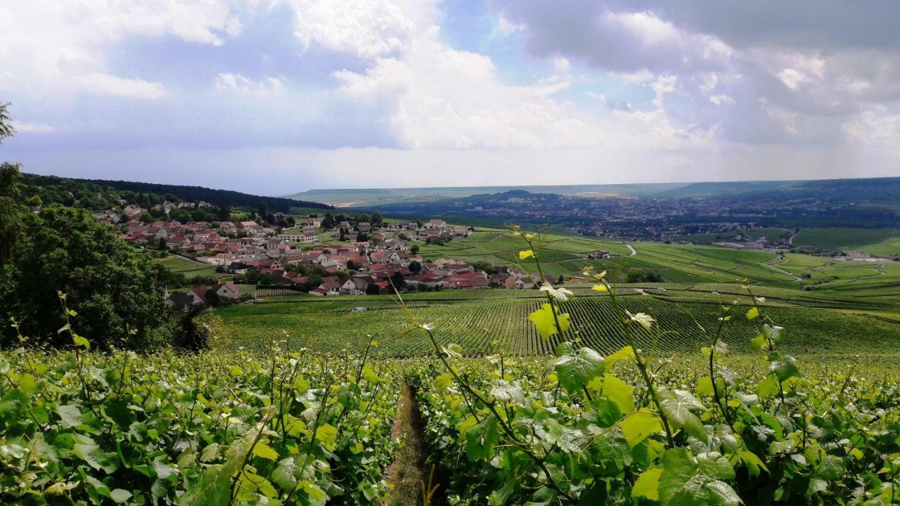 Vila Le Logis Du Vendangeur Champillon Exteriér fotografie