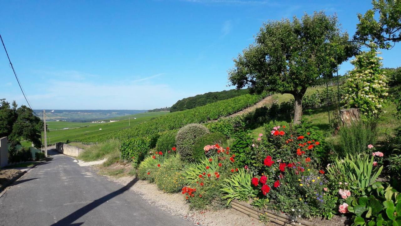 Vila Le Logis Du Vendangeur Champillon Exteriér fotografie