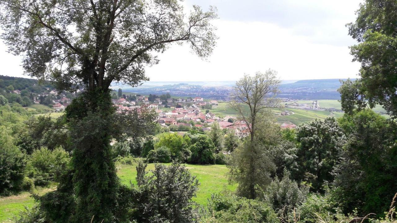 Vila Le Logis Du Vendangeur Champillon Exteriér fotografie